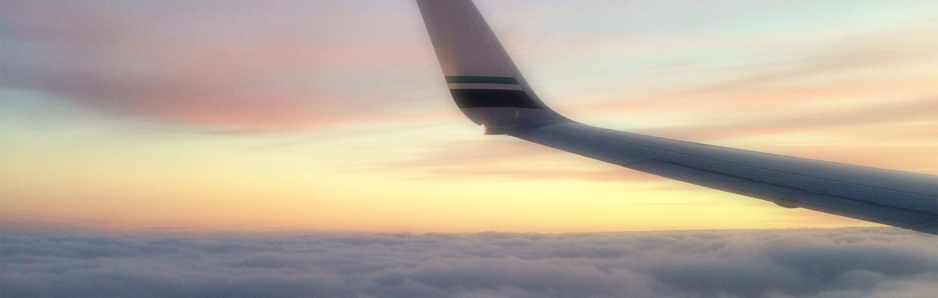 Aviation Safety Management Systems (SMS) Online Web Database Program by ...